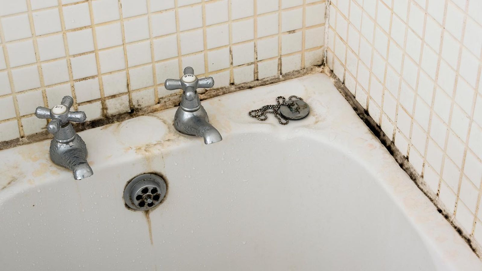 Ducha limpia sin moho